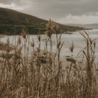 slow days. soft light. quiet heart.
nothing to rush. nowhere else to be.
just being.
letting the days unfold.
breathing a little deeper.
soft moments like these.
where time feels gentle.
quiet joy.
this kind of calm.
unplugged, but full.

#slowdays
#quietmoments
#softlight
#gentlejoy
#calmvibes
#stillness
#oceanmood
#seasidecalm
#saltair
#walkingbythesea
#coastallight 
#galicia